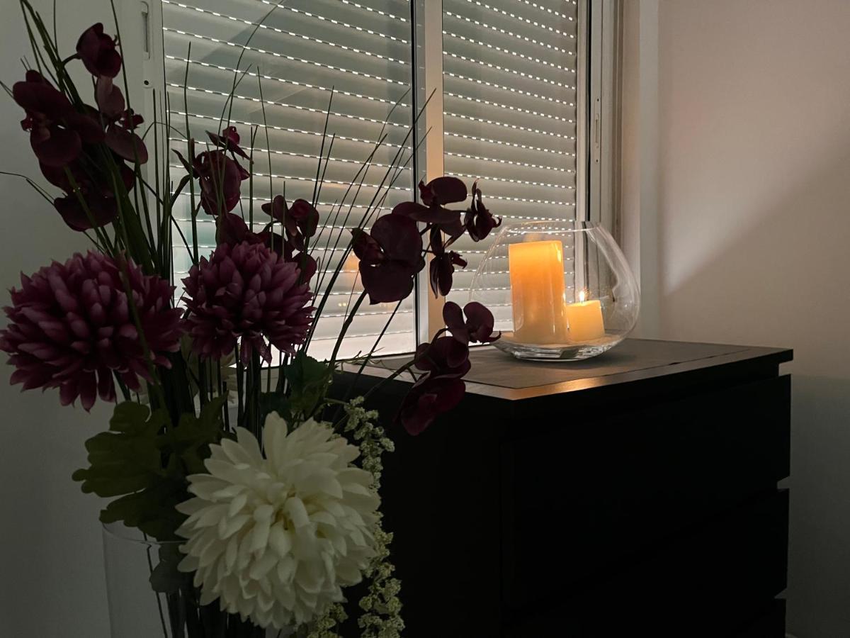 Apartamento Alcala サラゴサ エクステリア 写真